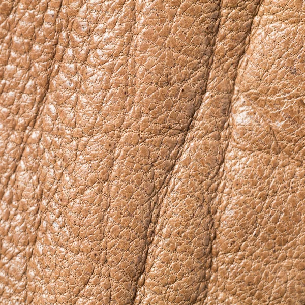 Close Brown Color Genuine Leather Texture — Stock Photo, Image
