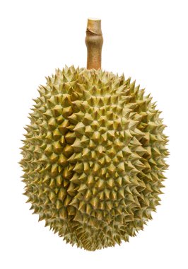 Beyaz izole durian meyve