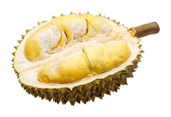 İzole durian meyve bölümü — Stok fotoğraf