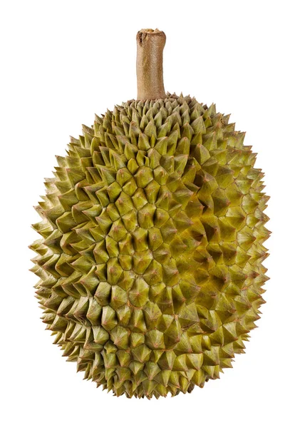 Durian frutta isolata su bianco — Foto Stock