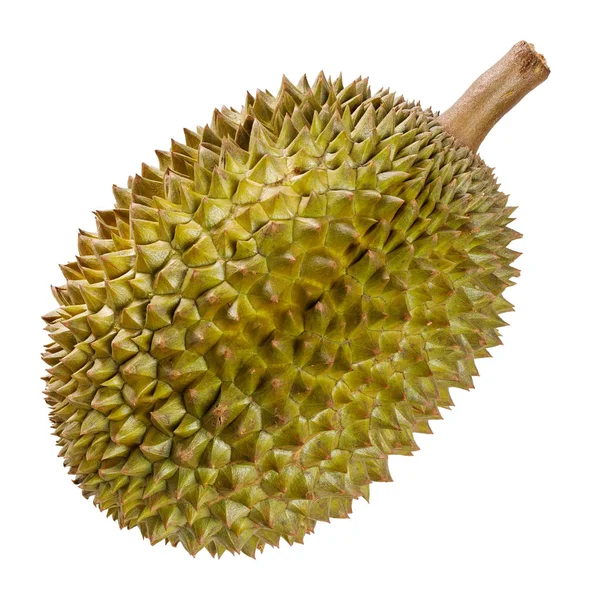 Durian frutta isolata su bianco Immagini Stock Royalty Free