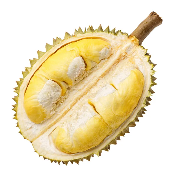 Durian porzione di frutta isolata Fotografia Stock