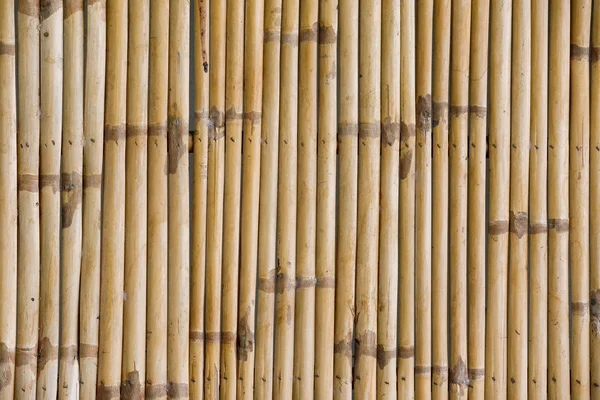竹篱笆背景 — 图库照片