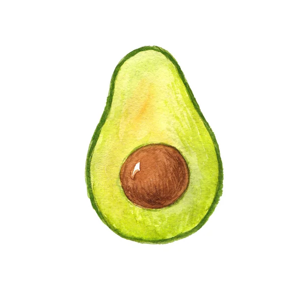 Illustrazione ad acquerello di un avocado con un osso in una sezione — Foto Stock