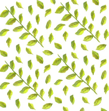 Yeşil yapraklı ve dallı suluboya desen