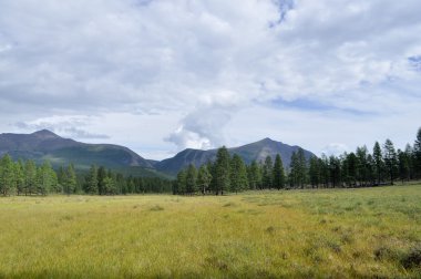 geometrische abstracte veelkleurige sieraad achtergrond. a-0164.