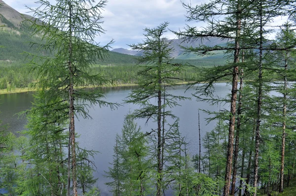 Górskie jezioro w Jakucji.  . — Zdjęcie stockowe