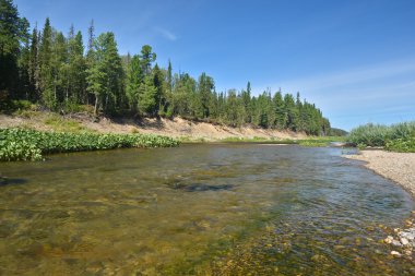 Virgin Komi ormanlar, nehrin Shchugor. 