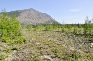 dağların arasındaki geniş vadi. 