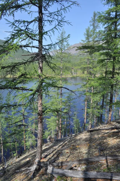 Пейзажі озера та відображення гір — стокове фото