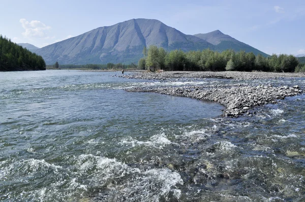 Pebble bank en berg flod. — Stockfoto