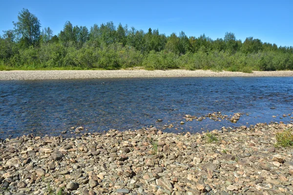 La rivière sauvage du nord . — Photo