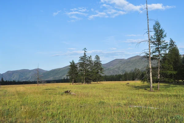 Prati verdi in valle di montagna del fiume Suntar . — Foto Stock