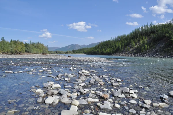 Pebble Bank of a mountain river. — Stock Photo, Image