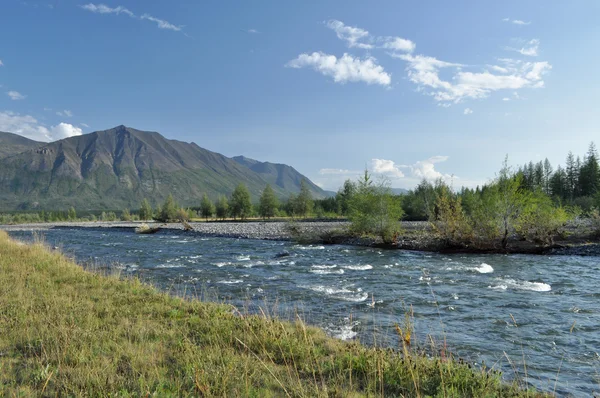 Banc de galets d'une rivière de montagne . — Photo