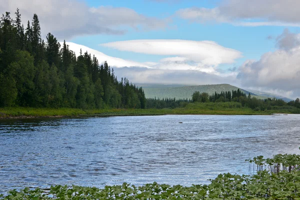 Unberührte Komi-Wälder, der Fluss shchugor. — Stockfoto