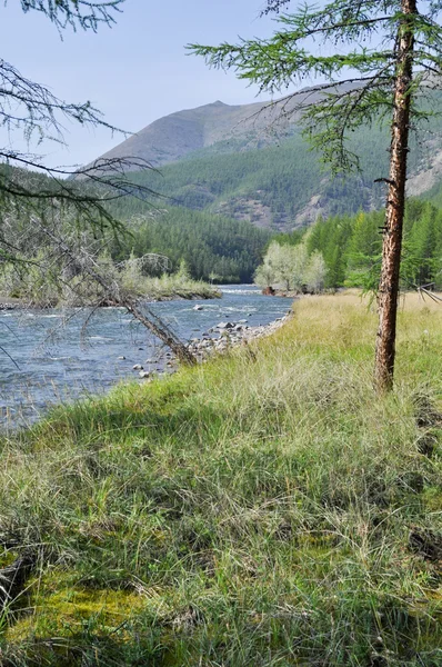 Pebble Bank of a mountain river. — Stock Photo, Image