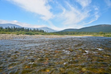 Virgin Komi ormanlar, Unesco Dünya doğal mirası. 
