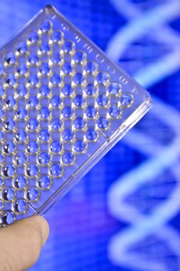 Dna genetik laboratuvarlarda test. 