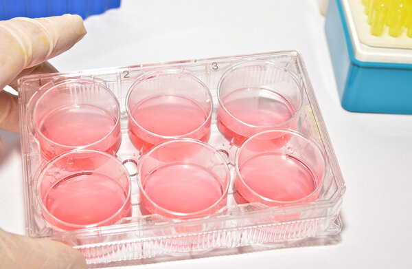 Cell technologies in laboratory research.