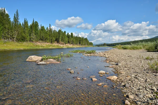 Paisaje de verano del río taiga en los Urales . — Foto de Stock