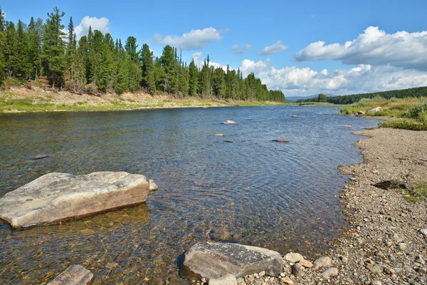 Summer krajobraz rzeki tajgi na Uralu. — Zdjęcie stockowe