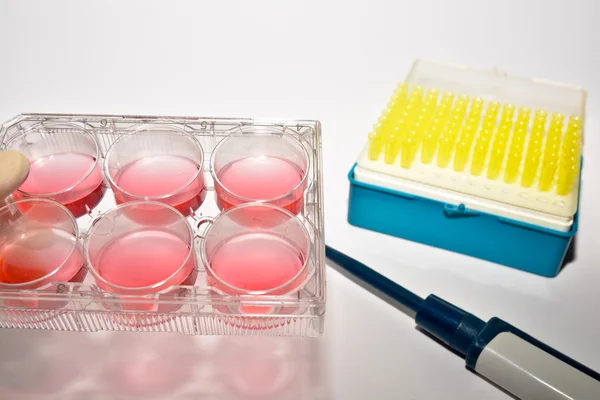 Cell technologies in laboratory research. — Stock Photo, Image