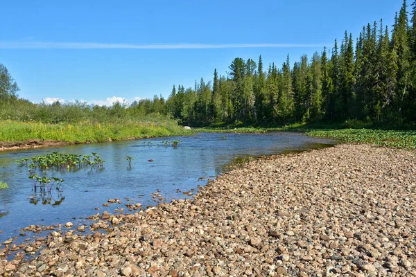 Paysage fluvial estival dans le parc national du Nord . — Photo