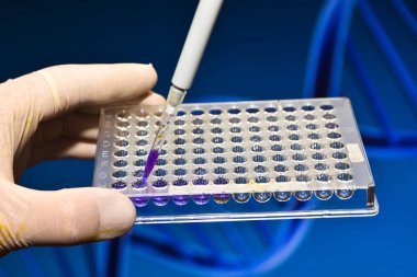 Moleküler genetik ve biyoteknoloji.