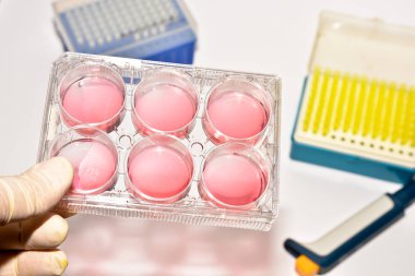 Moleküler genetik ve biyoteknoloji.