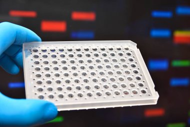 Moleküler genetik ve biyoteknoloji.