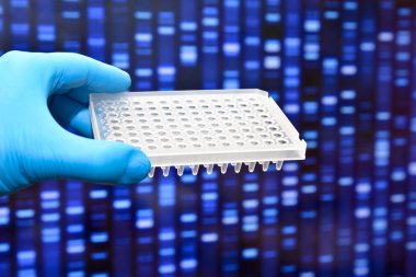 Moleküler genetik ve biyoteknoloji.