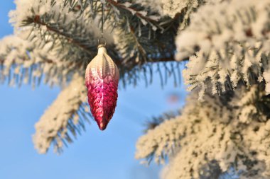 Kış - Noel ve yeni yıl. 