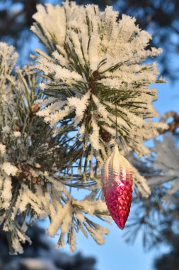 Kış - Noel ve yeni yıl. 