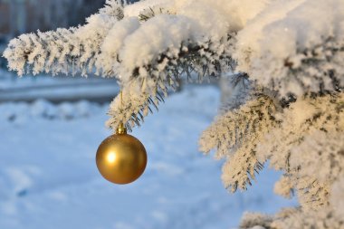 Kış - Noel ve yeni yıl. 