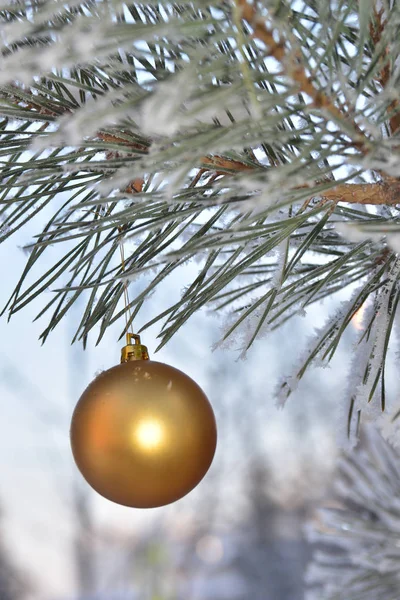 Zima - Vánoce a nový rok. — Stock fotografie