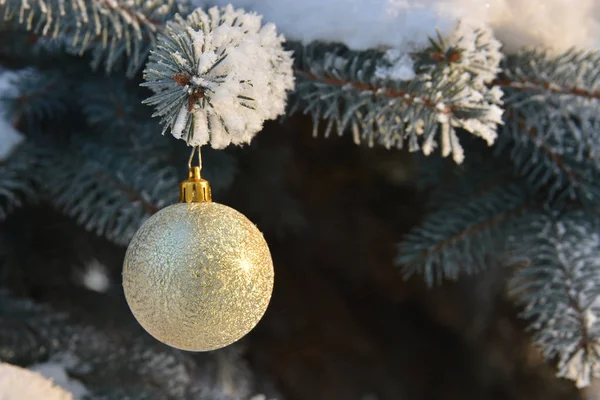 Invierno - Navidad y Año Nuevo . — Foto de Stock