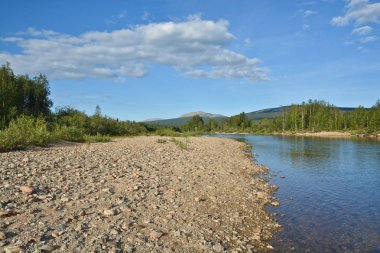 Virgin Komi ormanlar.