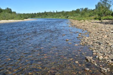 Unesco Dünya Mirası 