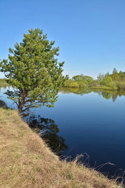 Fiume primaverile nel Parco Nazionale della Russia Centrale . — Foto Stock