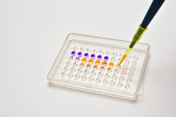 Adding a biological sample pipette. — Stock Photo, Image