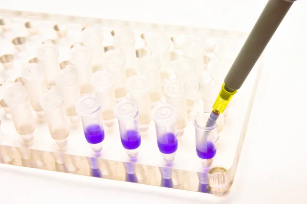 Adding a biological sample pipette. — Stock Photo, Image