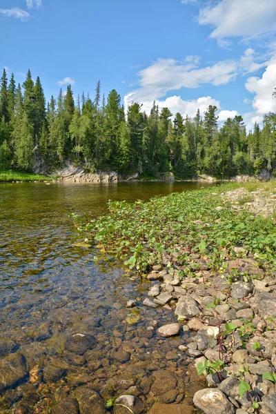 Taiga folyó északi Urál. — Stock Fotó