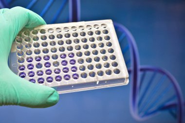 Bilimsel bir laboratuvar modern teknoloji. 