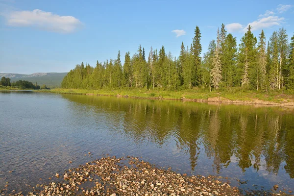 Syftet med världsarv "jungfruliga Komi skogar". — Stockfoto