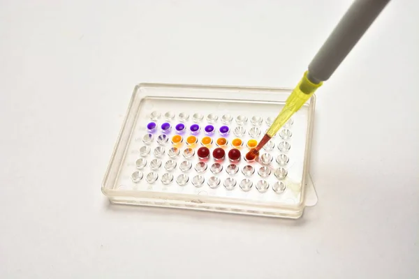 Tests in the laboratory. — Stock Photo, Image