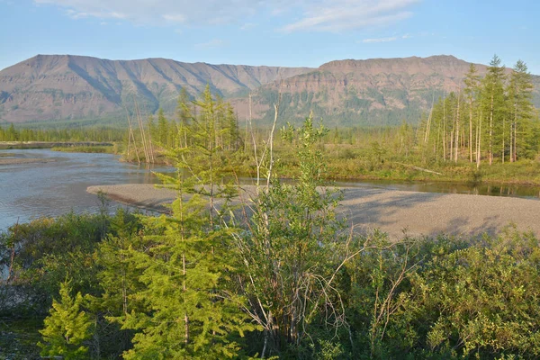 Floden Muksun på Putorana platån. — Stockfoto