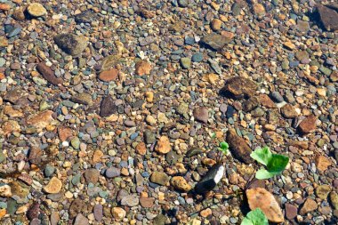 Nehir alt arka plan.