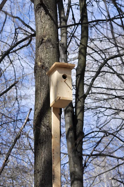 Birdhouse in the Park one day in April. — Stock Photo, Image