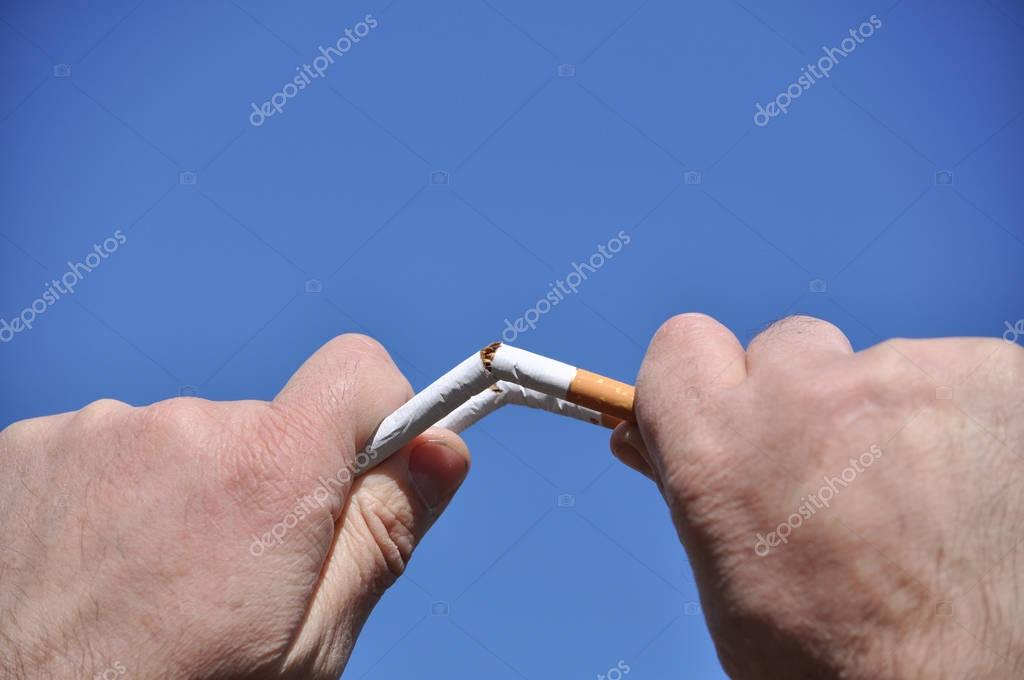 sergunt